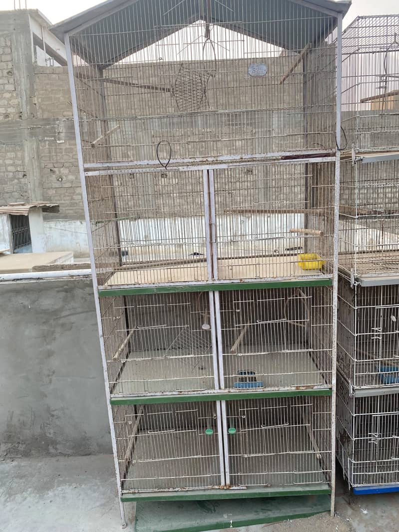 8 Portion Cage 5