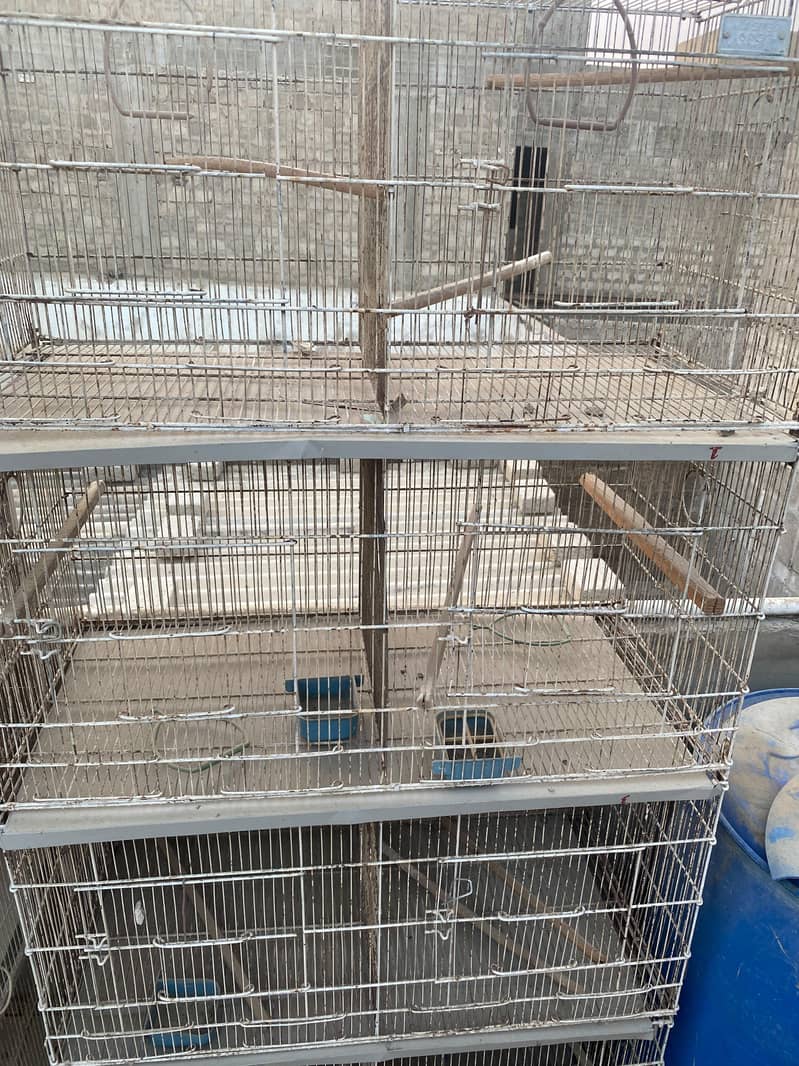 8 Portion Cage 6