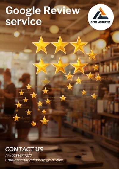 Google Review Service Provider