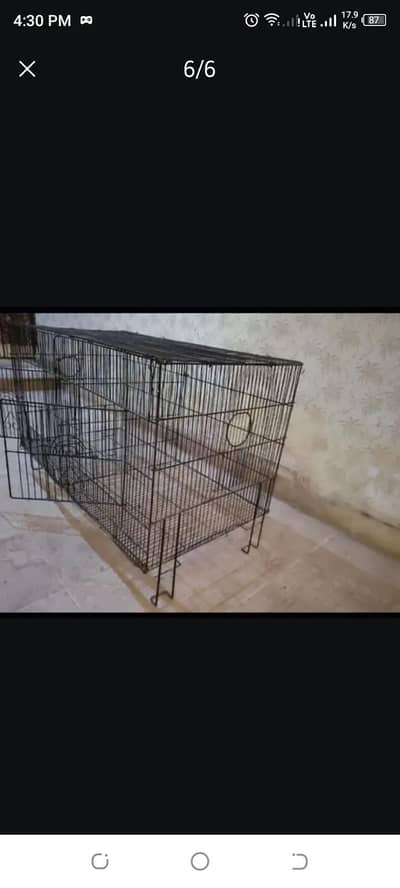 Baird's cage