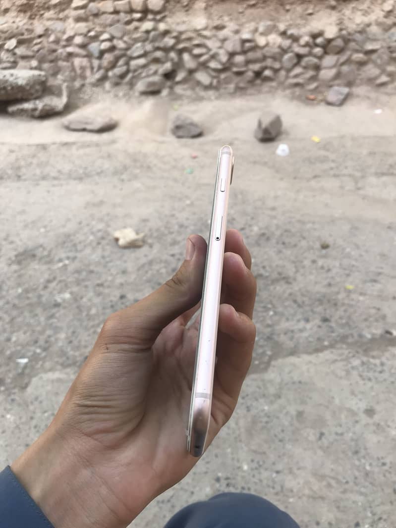 Apple iPhone 8 Plus 1