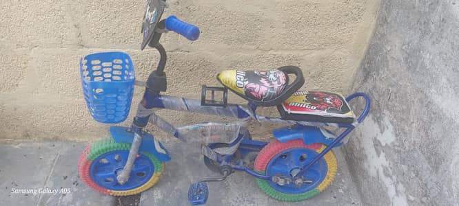 cycle for 4 to 7 year
