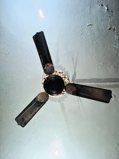 Delux Fan Black Colour