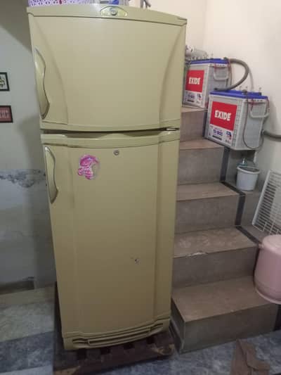 PEL Fridge Non inverter