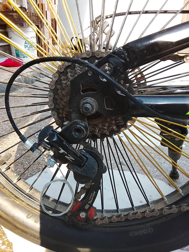 Cycle 5