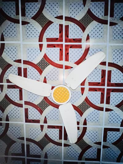 Royal Fan White Colour with Golden Design