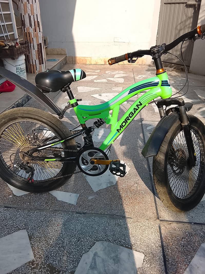 Cycle 6