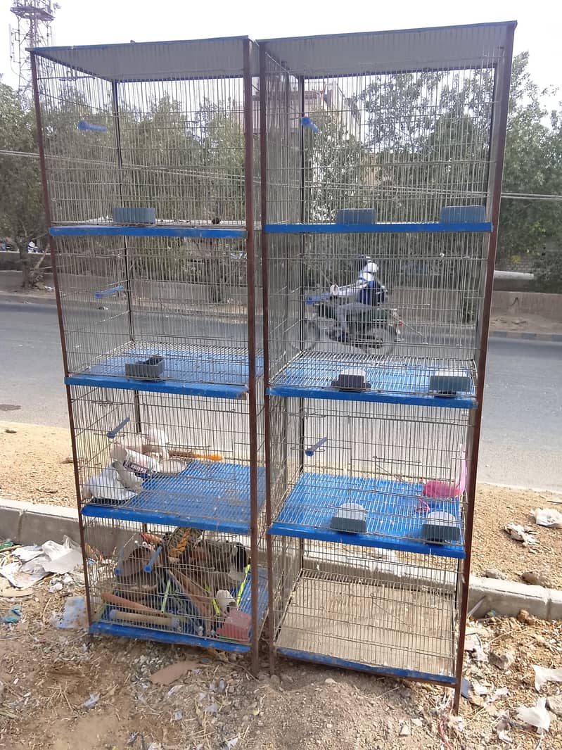 Cages 1