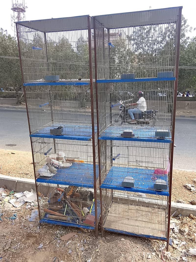 Cages 2