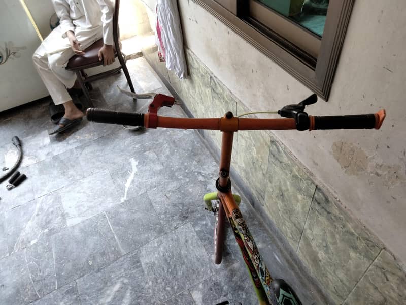 bicycle 6