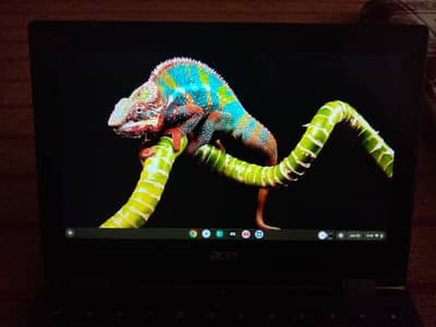 Acer Chromebook (touch 360)
