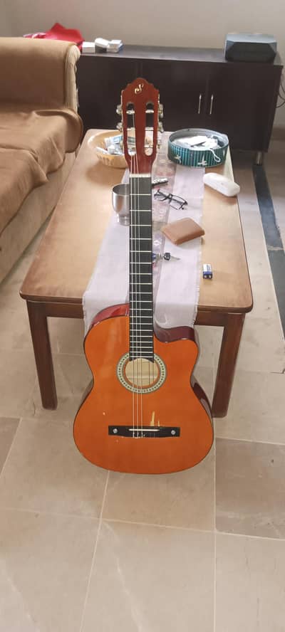 Gianinni Guitar 7.3/10 Condition