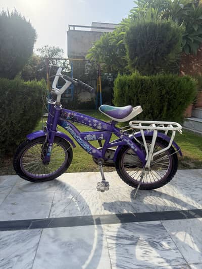 Frozen Cycle for Urgent sale.