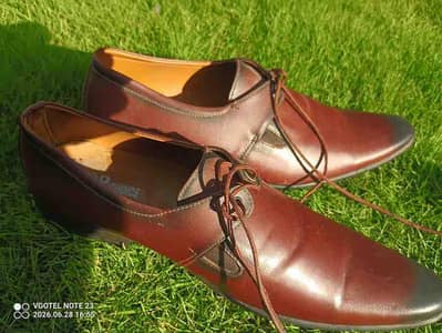 Stylish Brown Formal pointed shoes