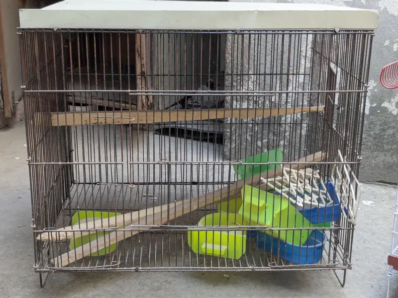 cages and accessories for sale — photo 3