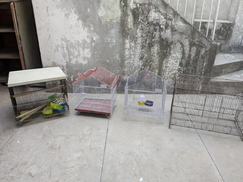 cages and accessories for sale — photo 4
