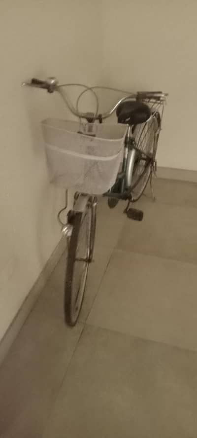 Stylish bicycle
