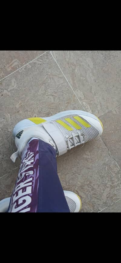 Addidas spikes shose for cricket