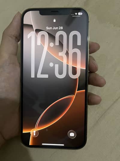 Apple iPhone 12 Pro Max