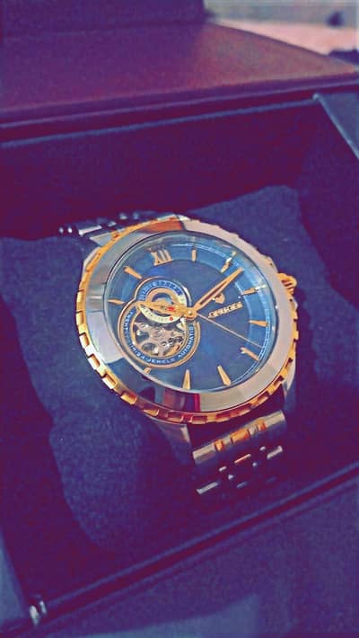 Qnuodi Japanese watch