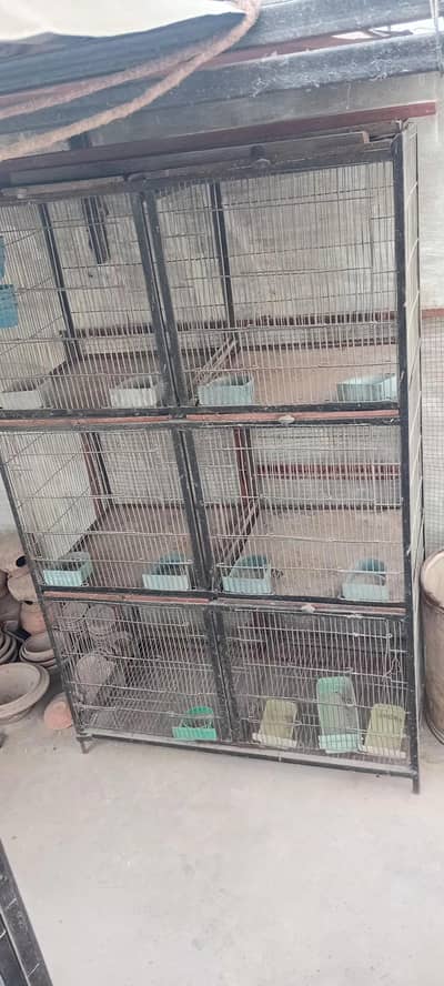 6 portion cage