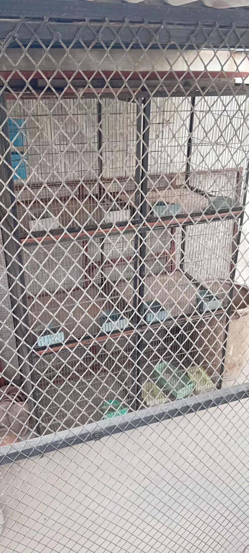 6 portion cage 2