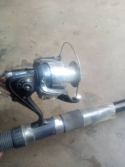 fishing roads whit rabbits sunshine 5500