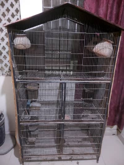 Bird Cage | Pinjra