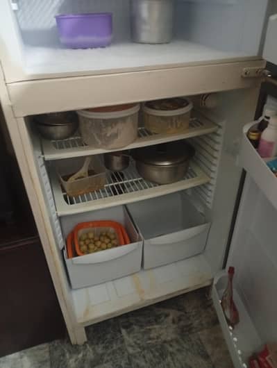 pel refrigerator