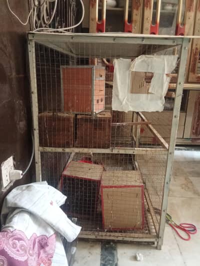 cage for sale