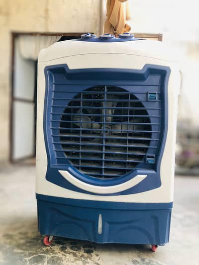 Plastic Body Room Cooler With Honeycomb Pads - Urgent Sale