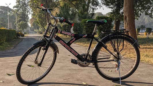fairly used 17 inch cycle with gears urgent sale