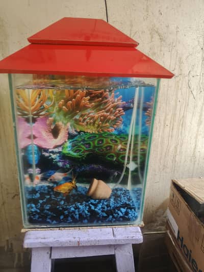 Aquarium for sale
