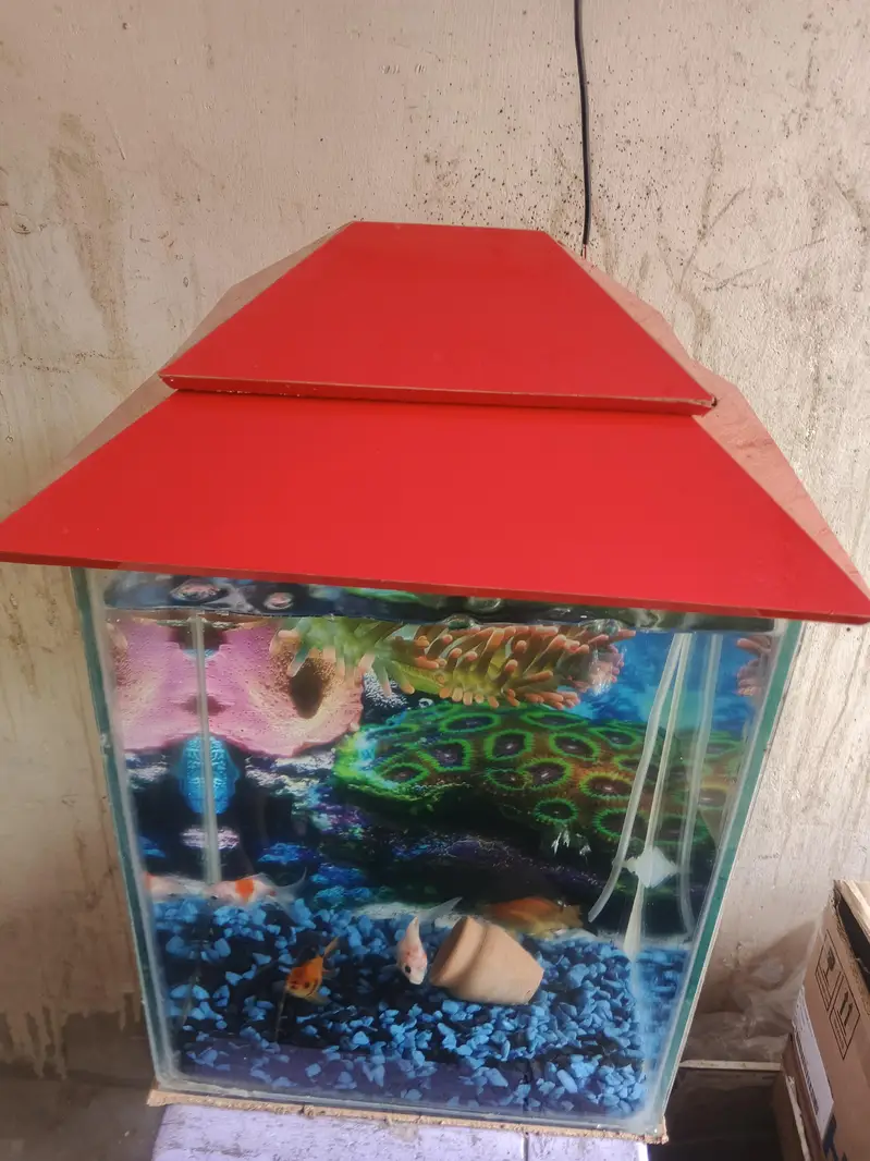 Aquarium for sale — photo 2