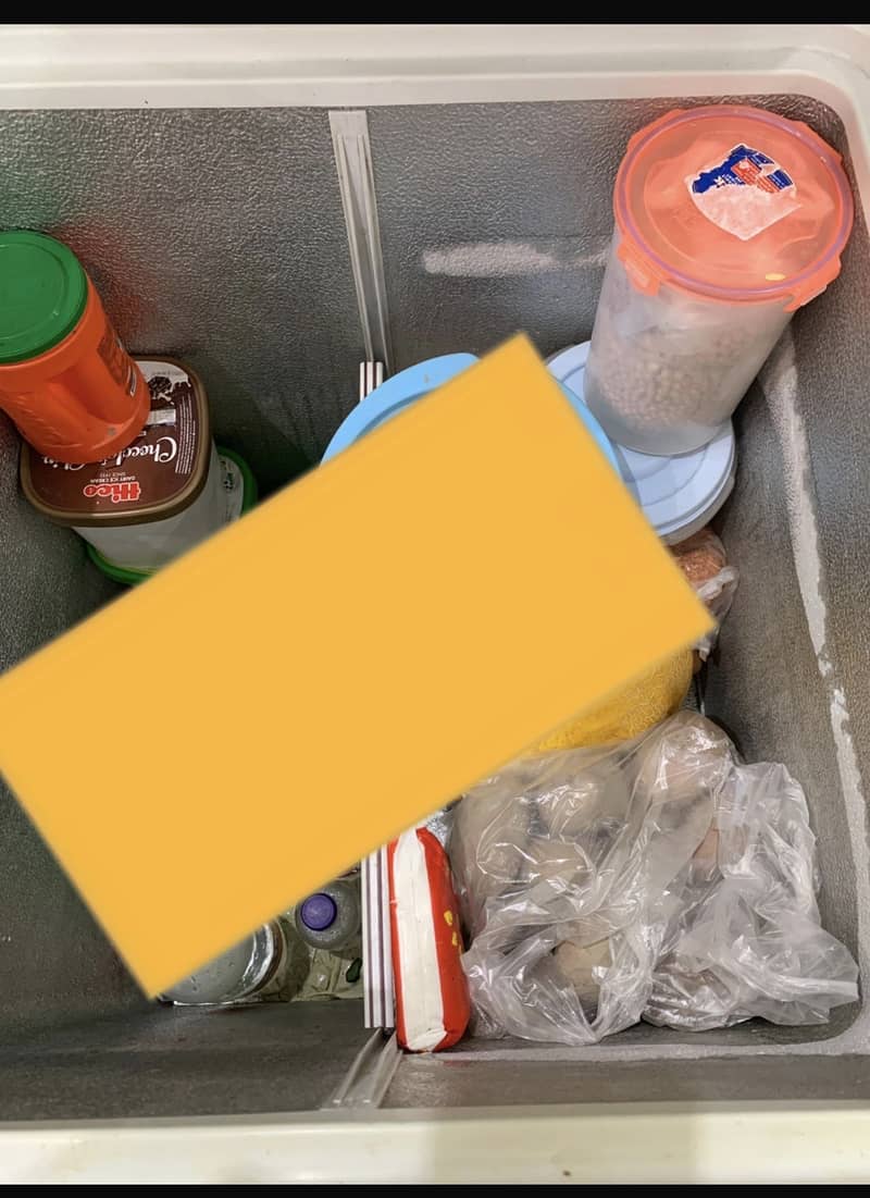 Freezer 1