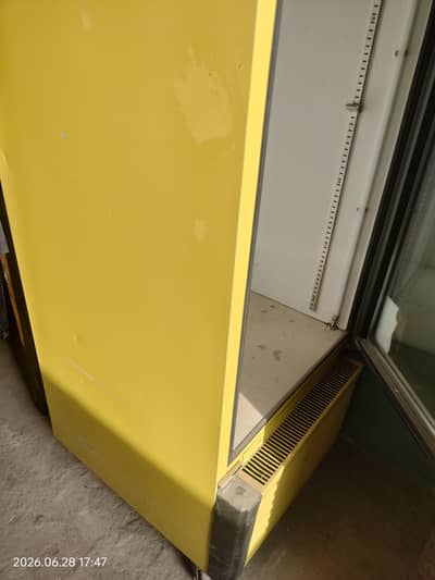 Refrigerator with single (mirror) door