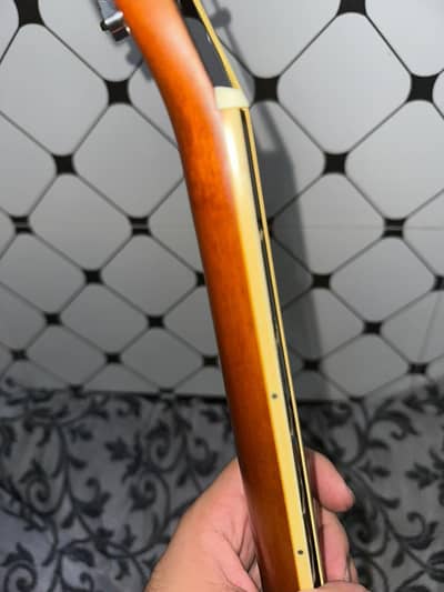 kapok
