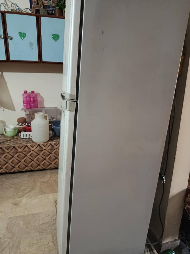 fridge 5