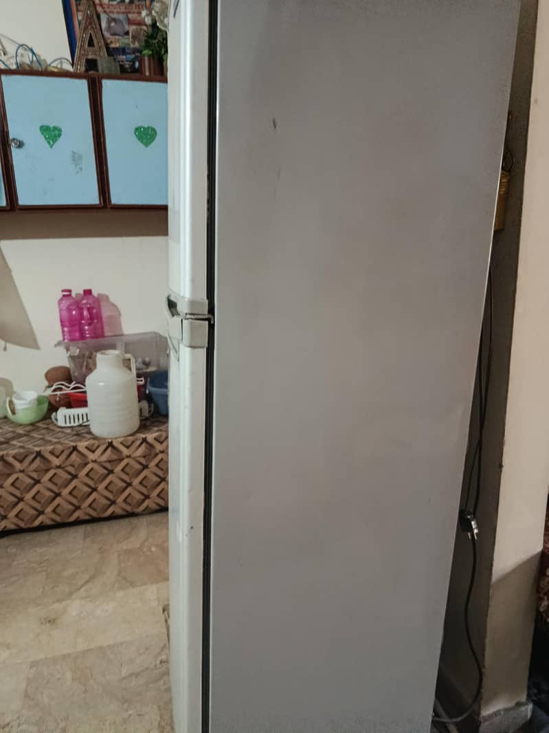 fridge 6