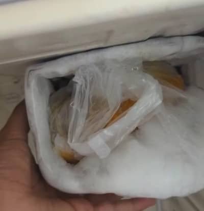 Fridge