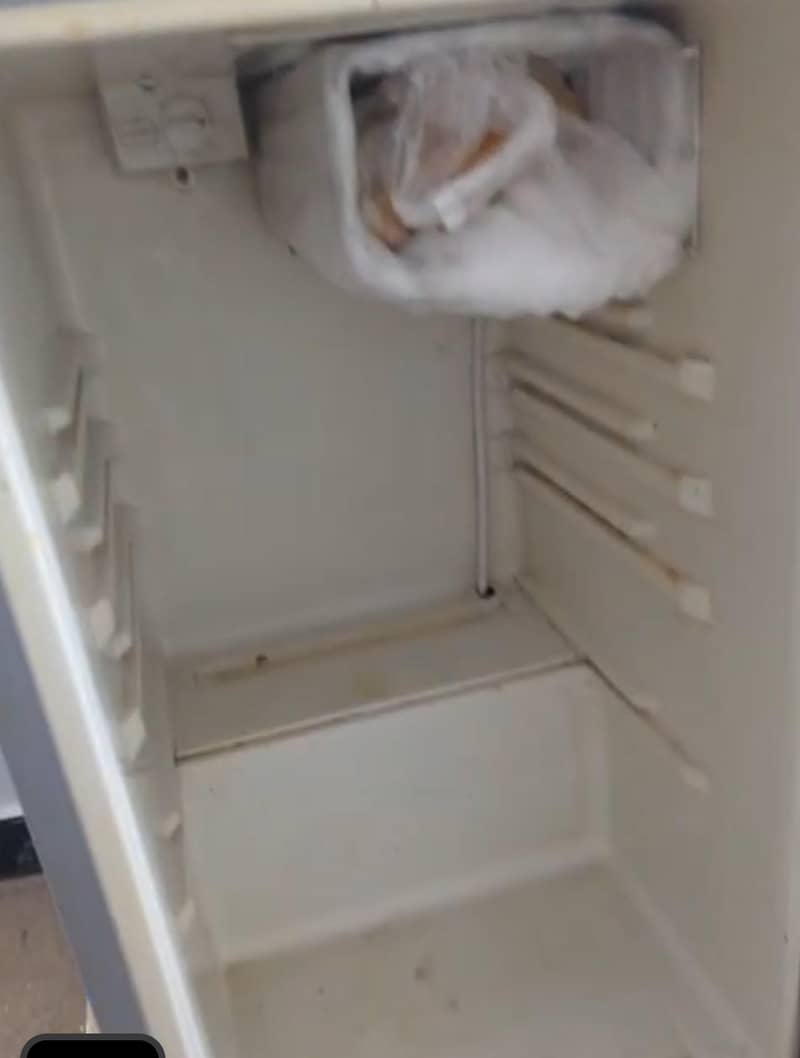 Fridge 1