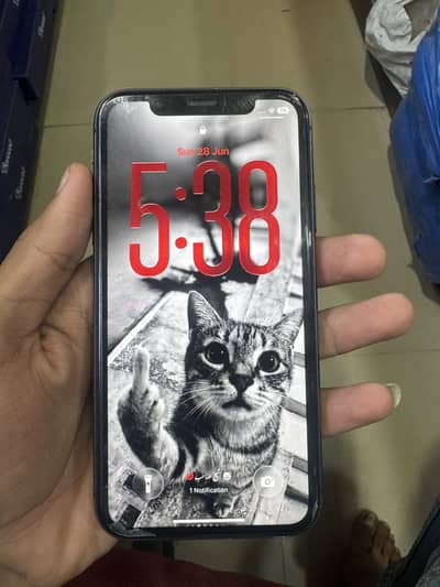 Apple iPhone 11