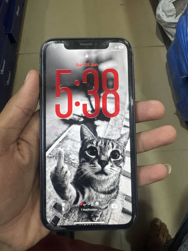 Apple iPhone 11 0