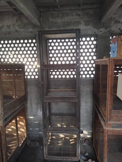 3 Tower cages