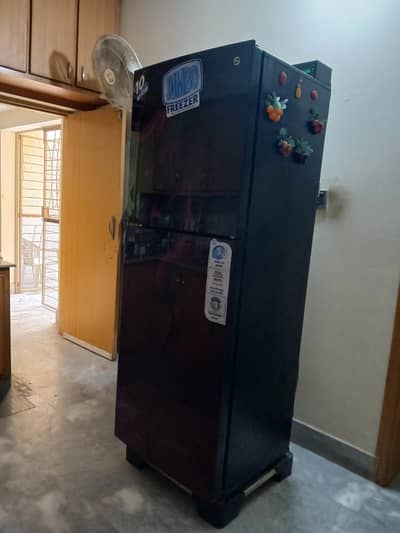 PEL Junmbo Size refrigerator