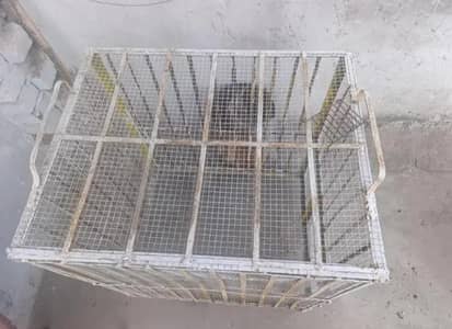 solid iron cage for pets, hen, pigeon, cat, dog puppy, chicks