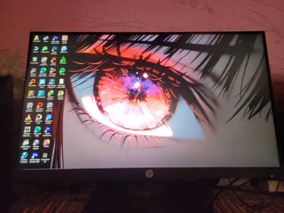 HP Monitor p224