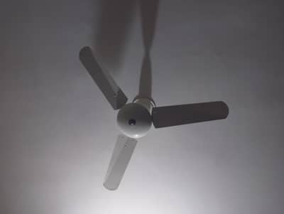 used ceiling fan for sale