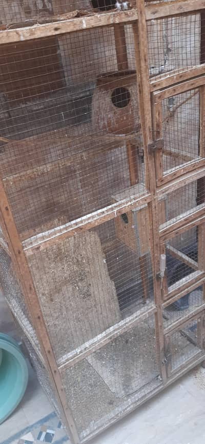 parrots Cage