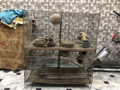 Cage For Parots And Hen